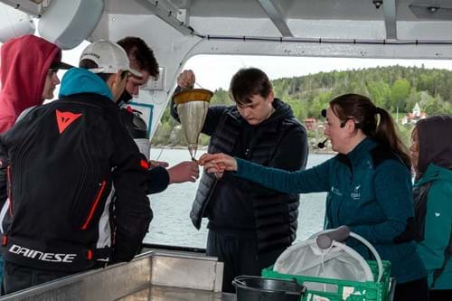 Rognefjell 13052022 23