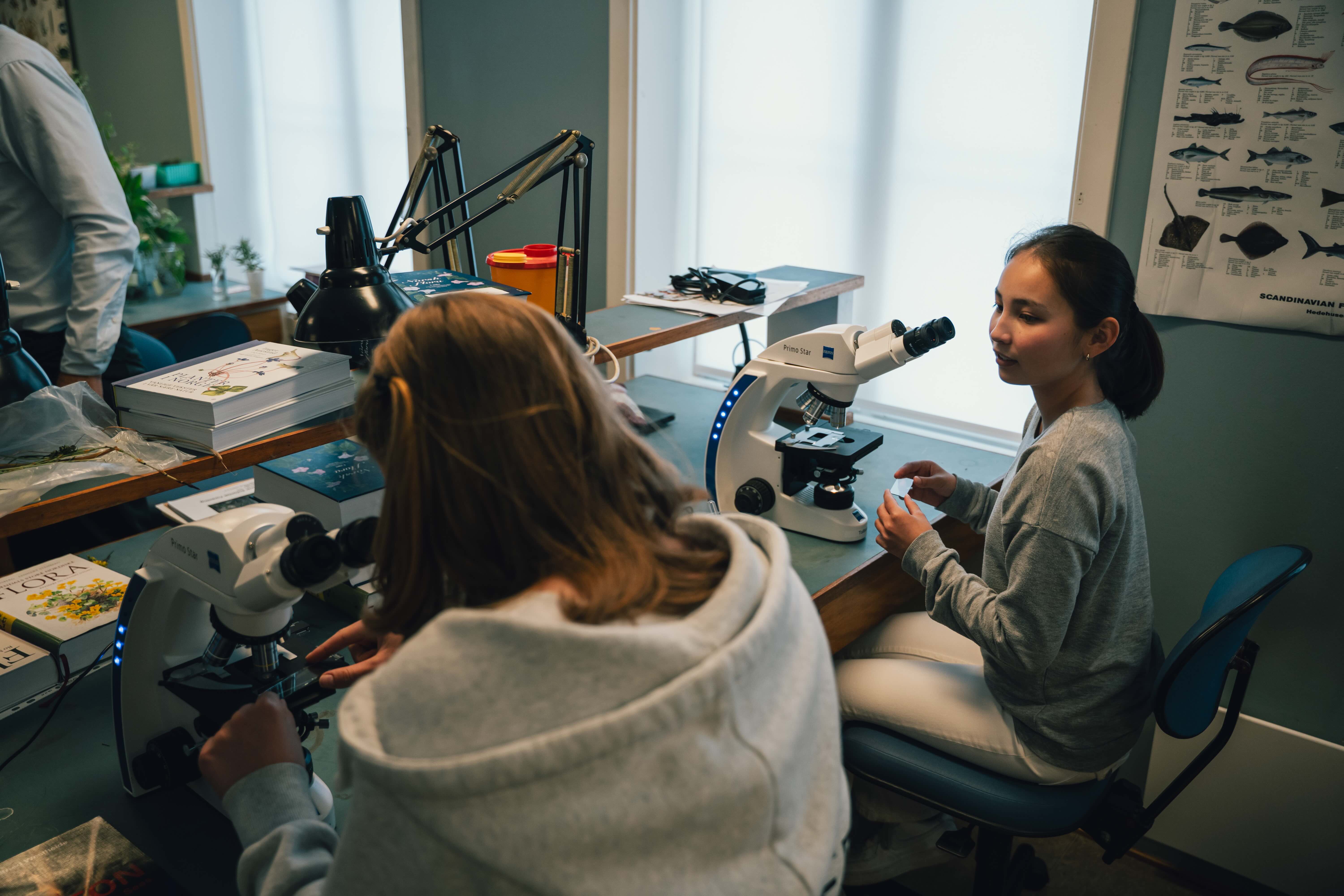2026 06 17 Åpning Fjordlab 17