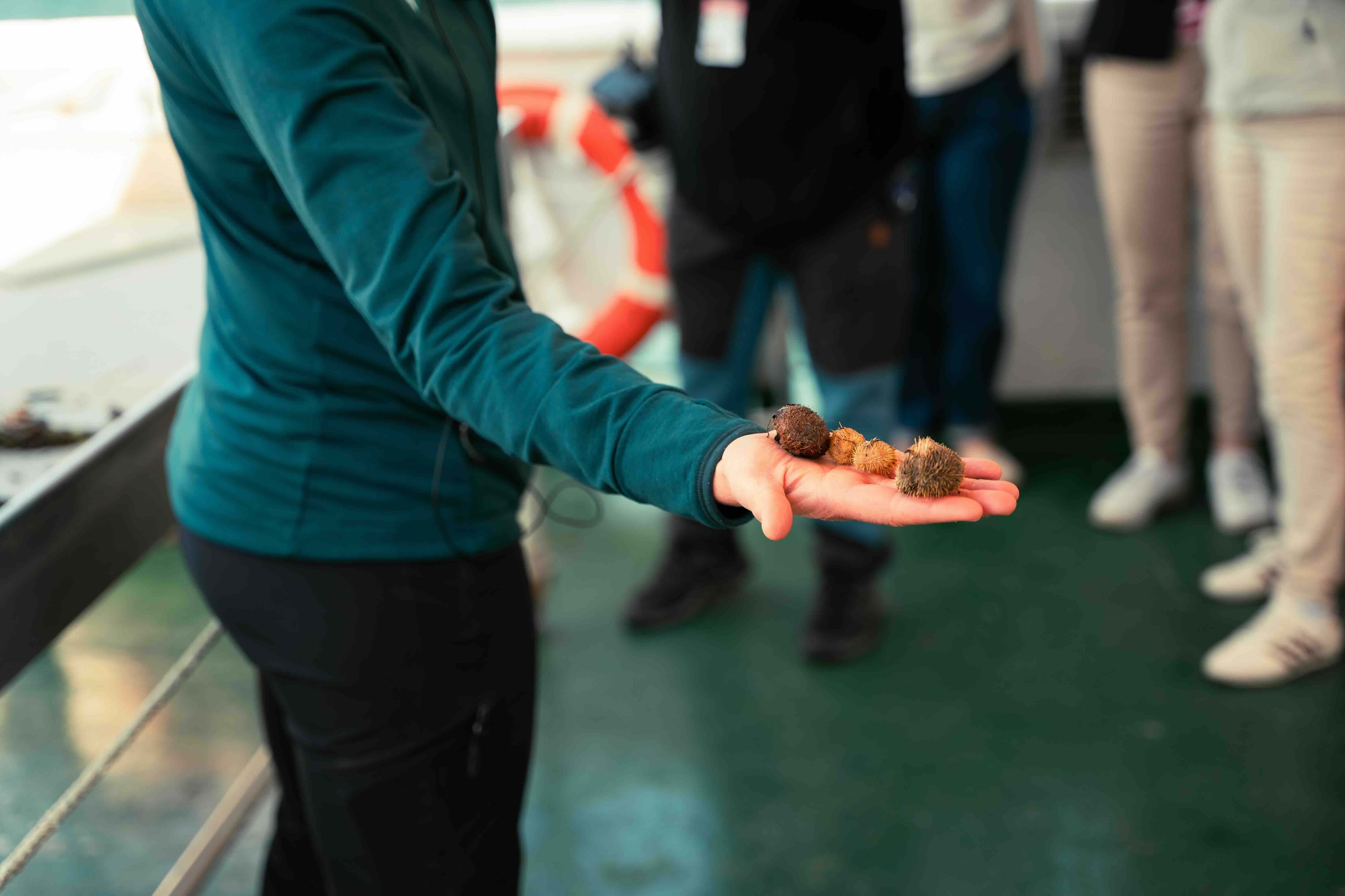 2025 06 03 Ministertokt Nyvigra 72Ppi 13