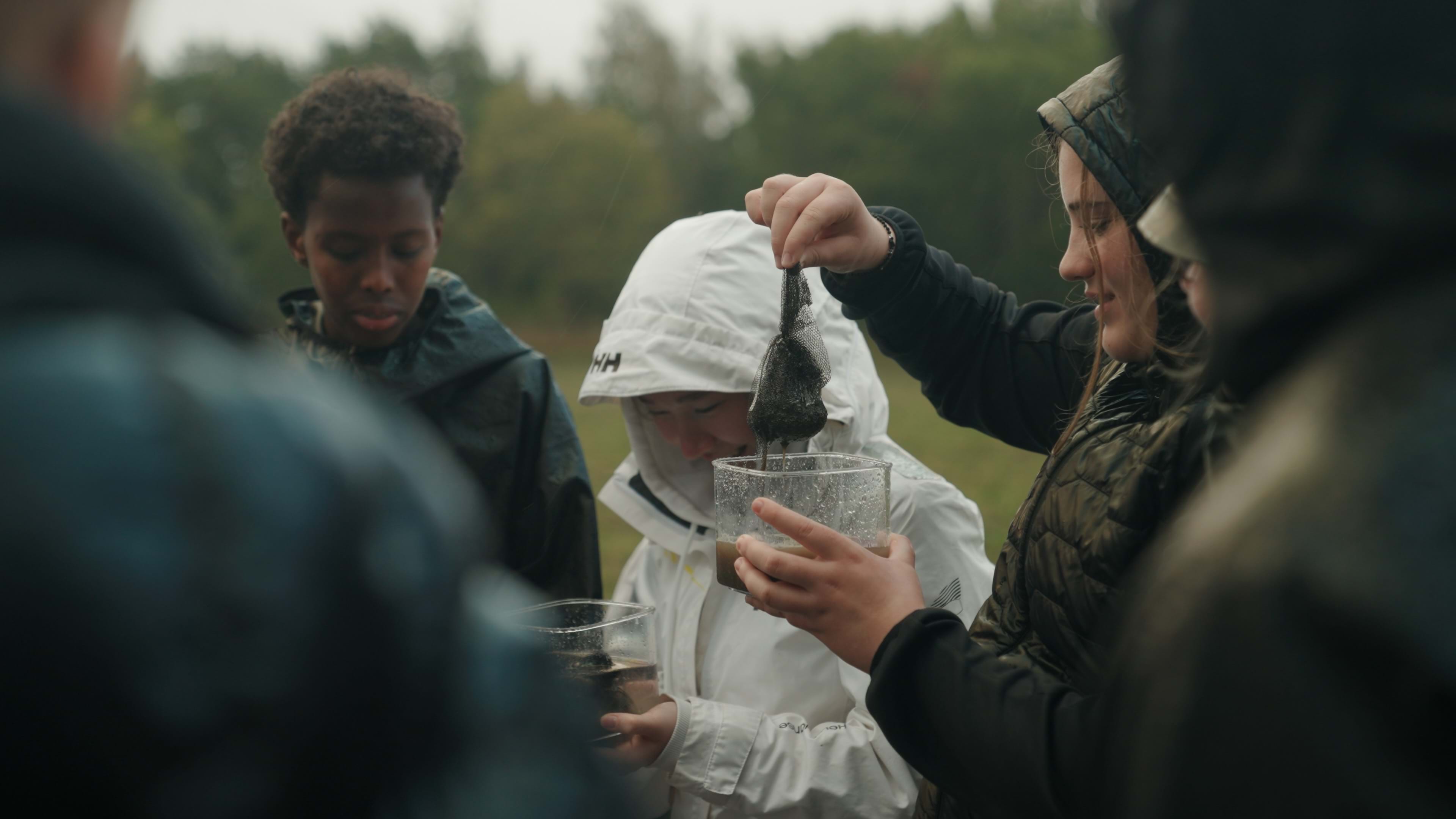 Jordvernskoleprogram 2