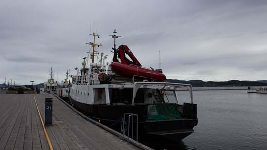 IMG 3628 1